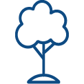 picto arbre